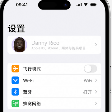 邕宁appleID维修服务iPhone设置中Apple ID显示为灰色无法使用 