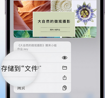 邕宁apple维修中心分享iPhone文件应用中存储和找到下载文件