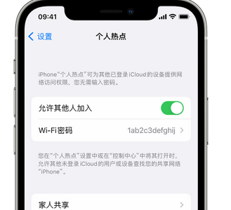 邕宁apple服务站点分享iPhone上个人热点丢失了怎么办 