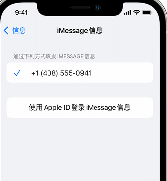 邕宁apple维修iPhone上无法正常发送iMessage信息