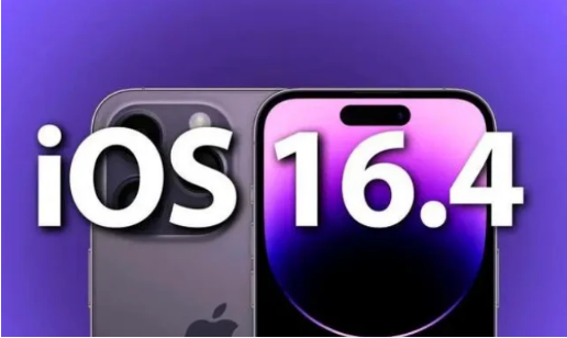 邕宁苹果14维修分享：iPhone14可以升级iOS16.4beta2吗？ 