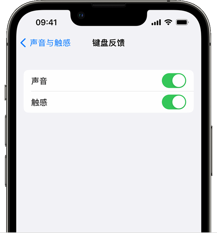 邕宁苹果14维修店分享如何在 iPhone 14 机型中使用触感键盘 