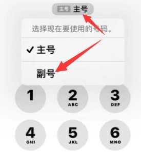 邕宁苹果14维修店分享iPhone 14 Pro Max使用副卡打电话的方法 