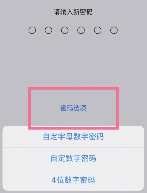 邕宁苹果14维修分享iPhone 14plus设置密码的方法 