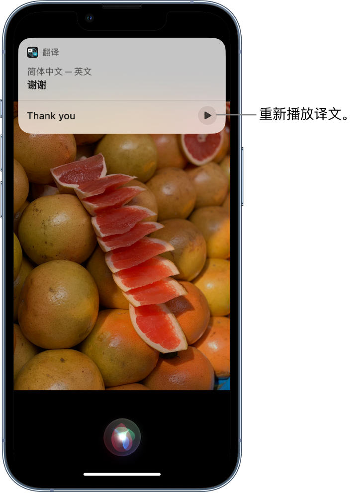 邕宁苹果14维修分享 iPhone 14 机型中使用 Siri：了解 Siri 能帮你做什么 