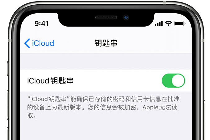 邕宁苹果手机维修分享在 iPhone 上开启 iCloud 钥匙串之后会储存哪些信息 