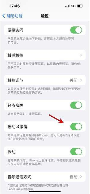邕宁苹果手机维修分享iPhone手机如何设置摇一摇删除文字 