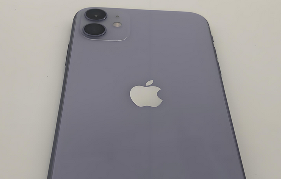 邕宁苹果11系统维修分享iPhone11手机系统崩溃无法开机如何解决