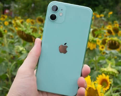 邕宁苹果维修点分享iPhone 11锁屏密码认知与使用科普 