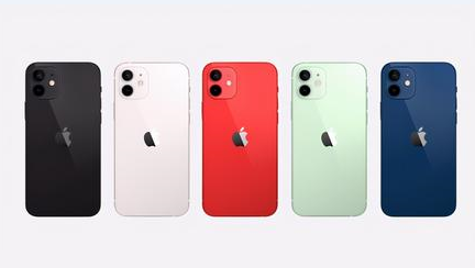 邕宁苹果维修点分享iPhone 12锁屏密码系统机制科普 