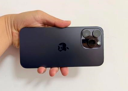 邕宁苹果维修点分享iPhone 14 Pro Max黑屏少见故障盘点 